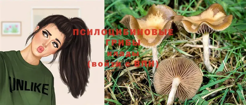 Галлюциногенные грибы MAGIC MUSHROOMS  где продают наркотики  Великие Луки 